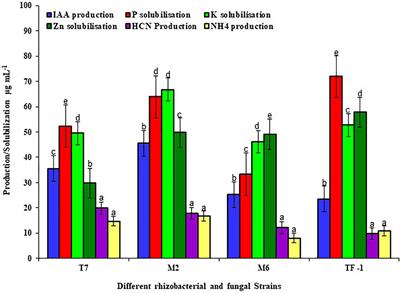 Mechanism and kinetics of chlorpyrifos co-metabolism by using environment restoring microbes isolated from rhizosphere of horticultural crops under subtropics